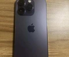 transportin para perros modelo L100