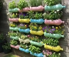 Se hacen huertas caseras, o mini jardines - 3